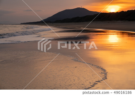 Pacific Long Beach Pacific Long Beach 49016186