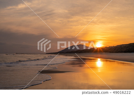 太平洋長灘 49016222