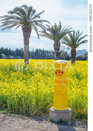 強姦開花花園 49016224