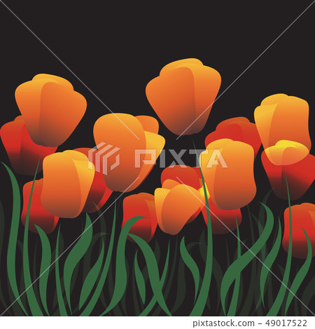 Nature of flowers and grass vector Nature of flowers and grass vector 49017522
