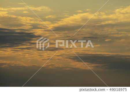 Evening landscape 49018975