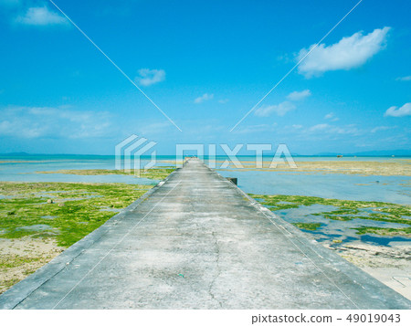 Low tide Iko pier 49019043