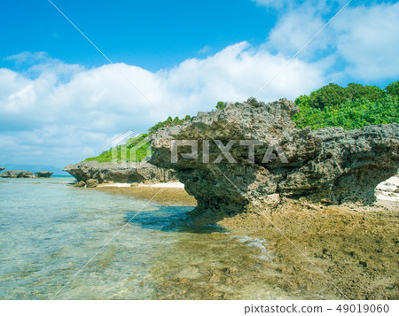 淺海岸 49019060