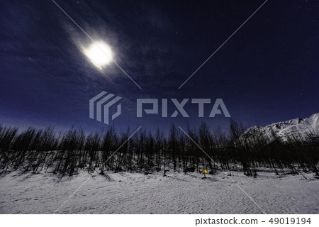 Snow field in Alaska full moon 49019194