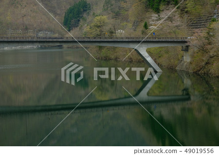 Fukashiro大壩和櫻花 Fukashiro大壩和櫻花 49019556