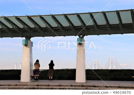 享有海港景色的山地公園 49019870