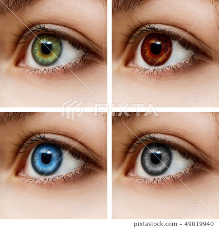 Different colorful contact lenses. Different colorful contact lenses. 49019940