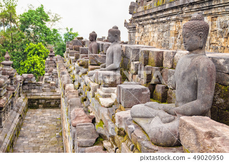Buddah statues in Borobudur Mahayana temple in Java 49020950
