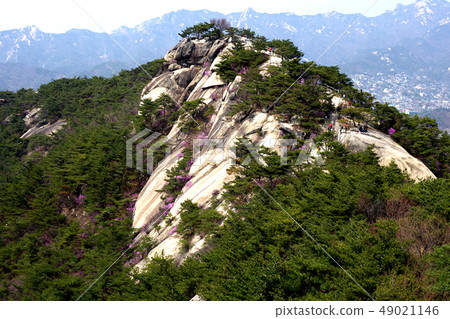 Inwangsan, rocky mountain, summit Inwangsan, rocky mountain, summit 49021146