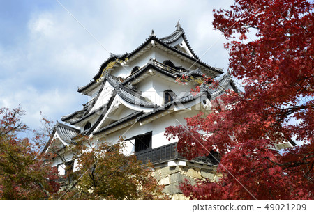 彥根城堡塔 49021209