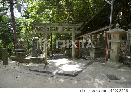 Mt. Hiei，Anikiji山谷 49022328