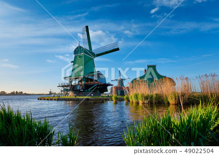 Windmills at Zaanse Schans in Holland on sunset. Zaandam, Netherlands 49022504
