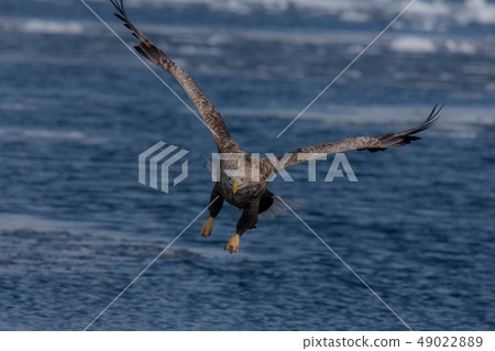 Shiretoko winter 49022889