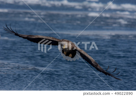 Shiretoko winter 49022890