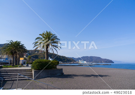 伊藤橙色海灘 49023018