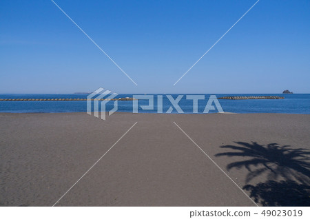 伊藤橙色海灘 49023019