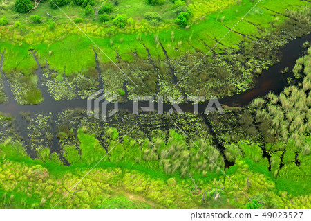 Aerial landscape in Okavango delta, Botswana. 49023527