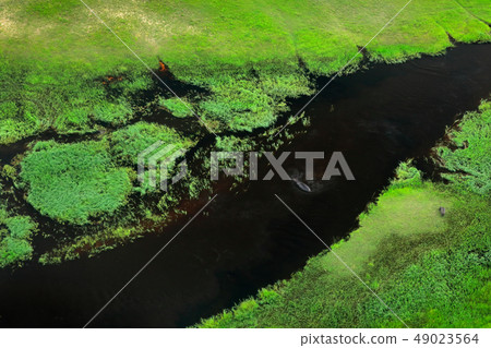 Hippo in water and Aerial landscape in Okavango Hippo in water and Aerial landscape in Okavango 49023564