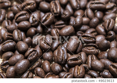 Coffee coffee beans Coffee coffee beans 49023613