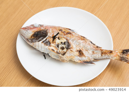 Grilled fish 49023914
