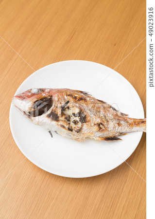  Red snapper 49023916