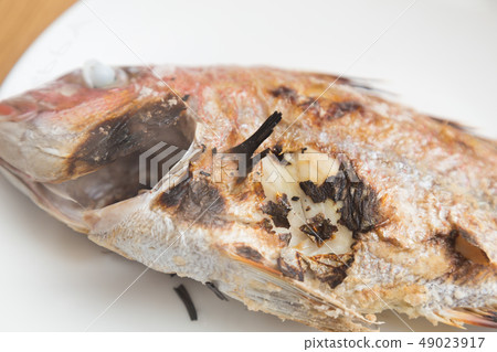  Red snapper 49023917