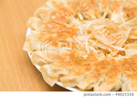 Grilled dumpling Grilled dumpling 49025338