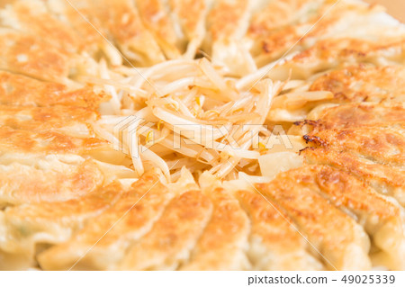 Pan-fried gyoza Pan-fried gyoza 49025339