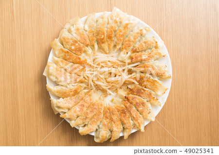 Pan-fried gyoza Pan-fried gyoza 49025341