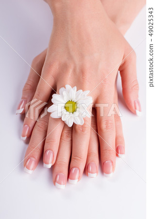 French manicure with white daisy. French manicure with white daisy. 49025343
