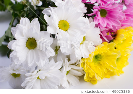 Bouquet of bright chrysanthemums. 49025386