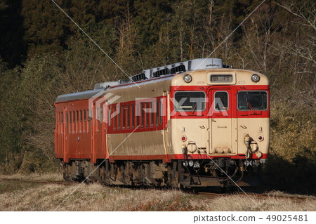 Isuzi rail express express train (Kiha 52 + Kiha 28) 49025481