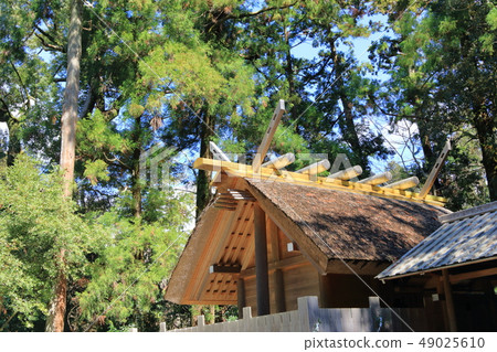 伊勢神社 伊勢神社 49025610