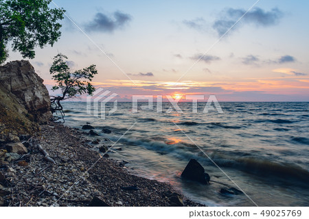 Tree on the rocky shore at sunrise Tree on the rocky shore at sunrise 49025769