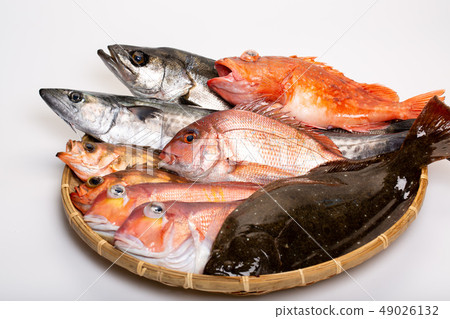 什錦魚 49026132