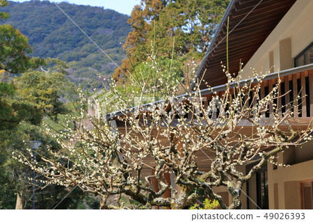 伊勢神社 伊勢神社 49026393