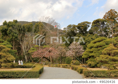 伊勢神社 49026416
