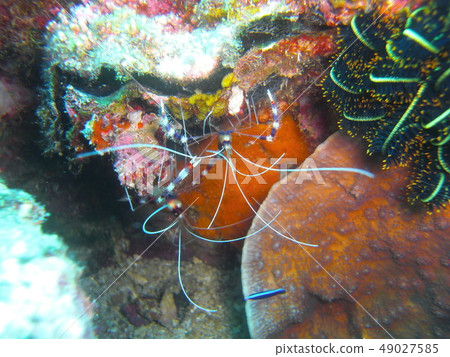 海的重力抵抗者 海的重力抵抗者 49027585