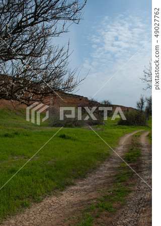 landscape 49027762