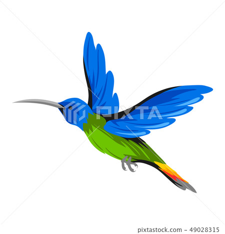 Illustration of hummingbird. Tropical exotic bird on white background. Illustration of hummingbird. Tropical exotic bird on white background. 49028315