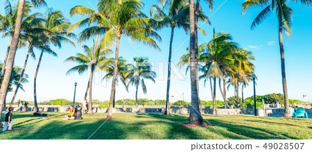 Lummus Park on a sunny day, Miami Beach, Florida - 49028507