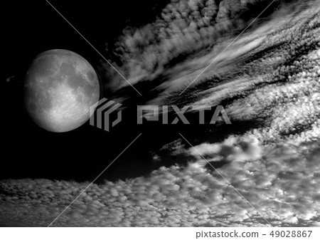 The moon in the night sky 49028867