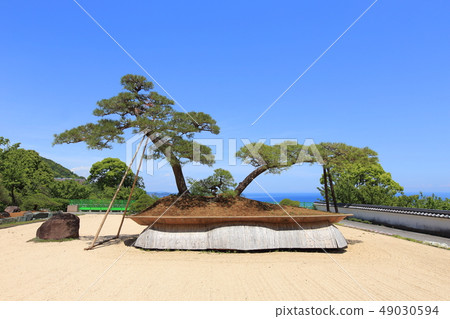 赤尾之森日本庭園 49030594