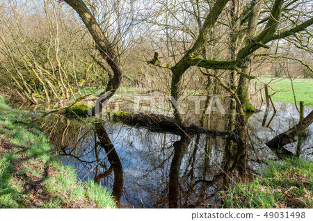 Flooded Wetlands Near Orvelte 49031498