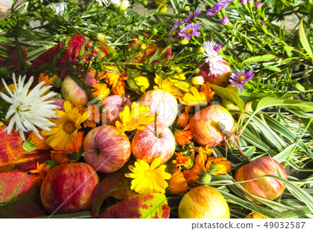 Beautiful photo with apples, red leaves, 49032587