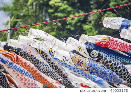 [相模河游泳鯉魚飄帶] 49033178