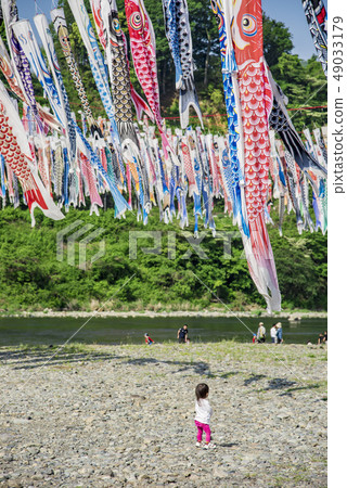 [相模河游泳鯉魚飄帶] 49033179