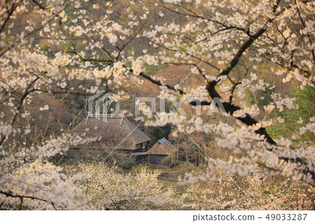 Spring Mininoku Folk Village 49033287