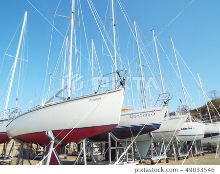 Marina Marina 49033546