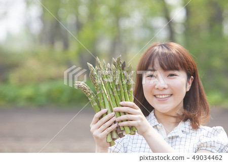 蘆筍生產者 49034462